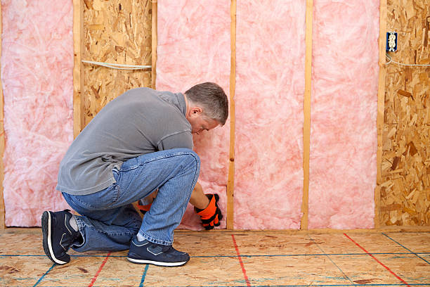 Best Insulation Removal  in Fourche Crossing, LA
